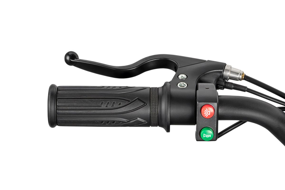 Eco quad Python sport 6” 36V 1000W
